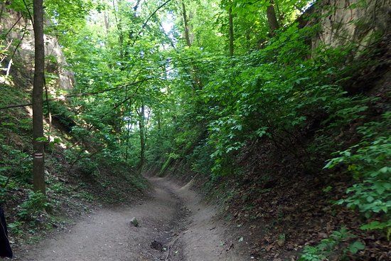 Wąwóz Świętej Królowej Jadwigi